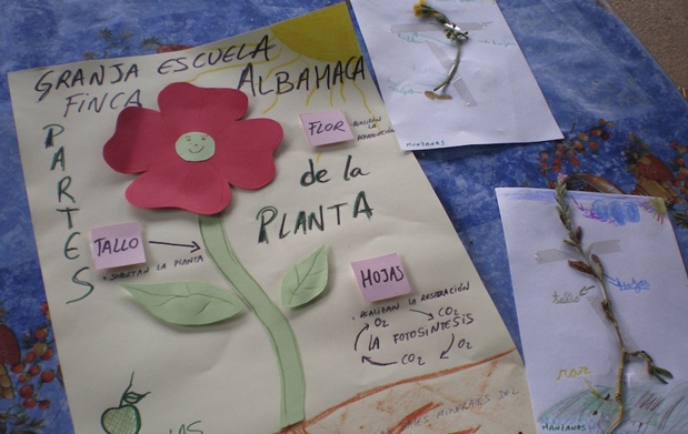 GRANJA ESCUELA LA ALBAHACA granja escuela la albahaca: