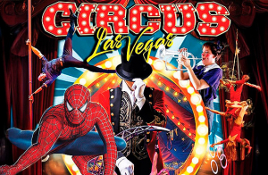 Entradas Palco VIP Circo Las Vegas - Montequinto