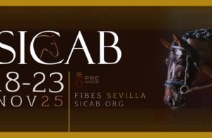 Entradas SICAB 2025