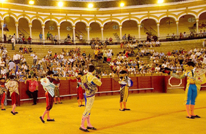 Entradas novilladas nocturnas en La Maestranza