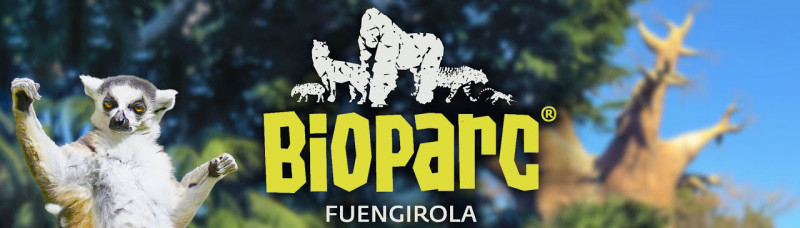 bioparc fuengirola