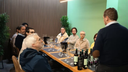 Cata de vinos con maridaje de tapas en Nervión