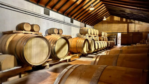 Visita a bodega con degustación y cata de vinos